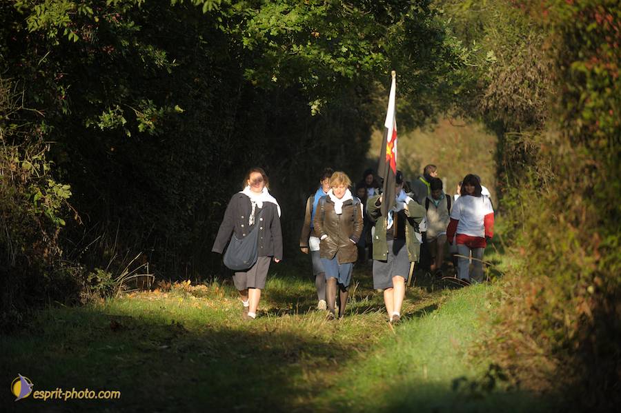 Nom de l'image : D30082971_1_(c)Norbert-JUNG — Description :